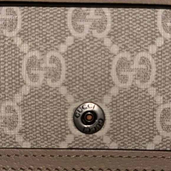 Authentic Mini GUCCI Dionysus (with box & dust bag) - Picture 5 of 5